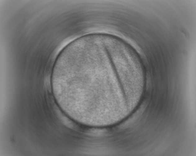 X0000113631513200910162004