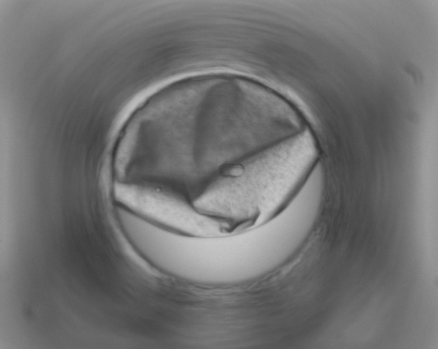 X0000113631516200910162004