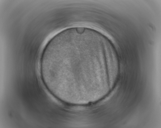 X0000113631517200910162004