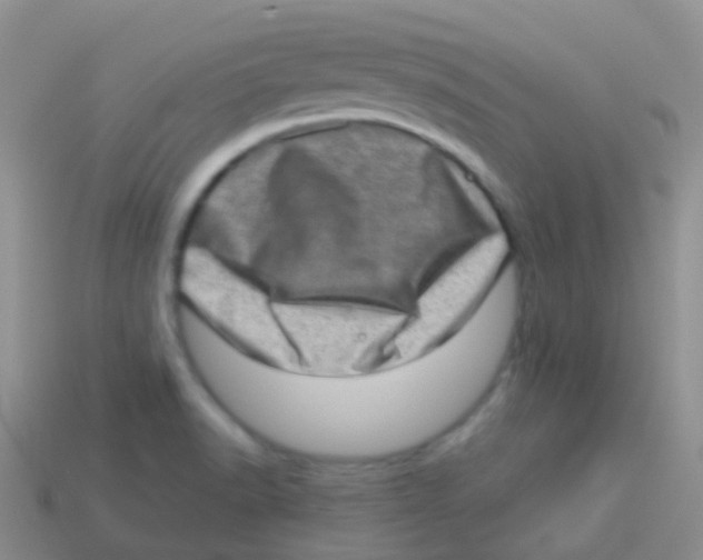 X0000113631518200910162004