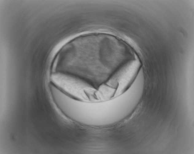 X0000113631520200910162004