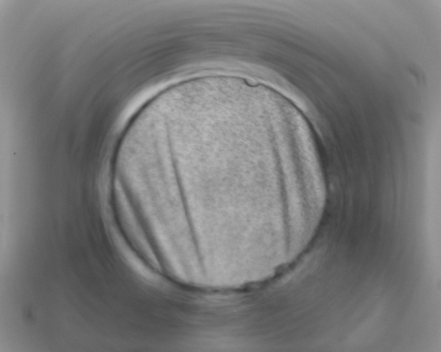 X0000113631523200910162004