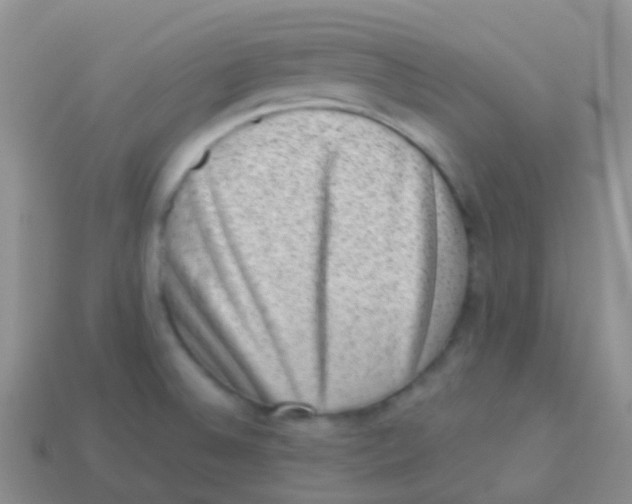 X0000113631524200910162004