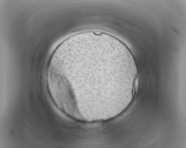 X0000113631526200910162004