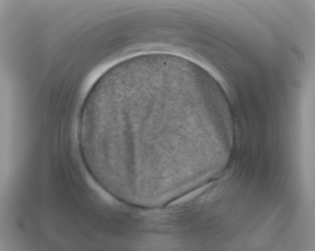 X0000113631527200910162004