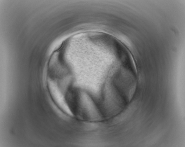 X0000113631528200910162004