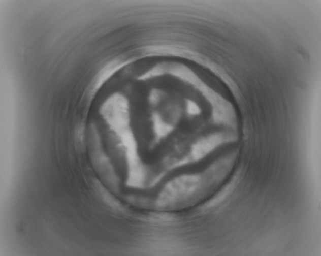 X0000113631529200910162004