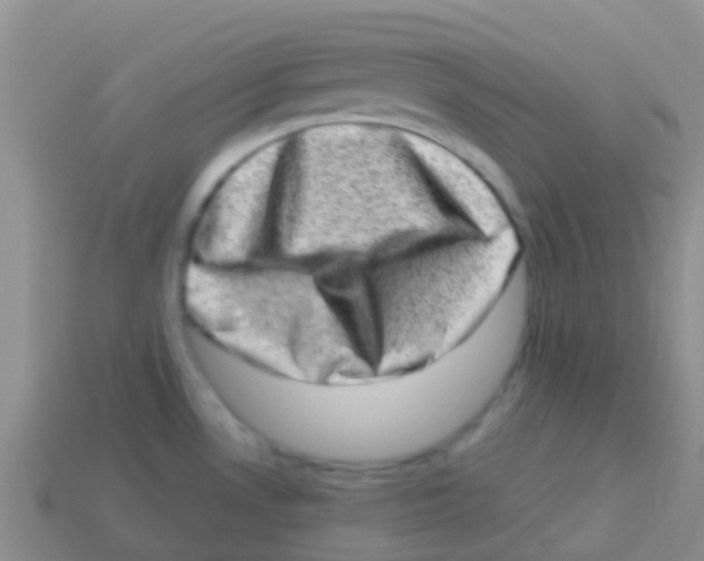 X0000113631530200910162004