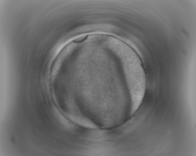 X0000113631532200910162004