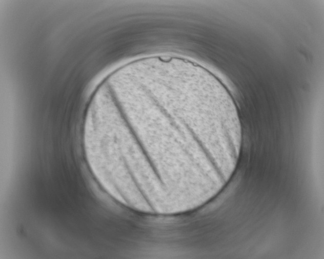 X0000113631534200910162004