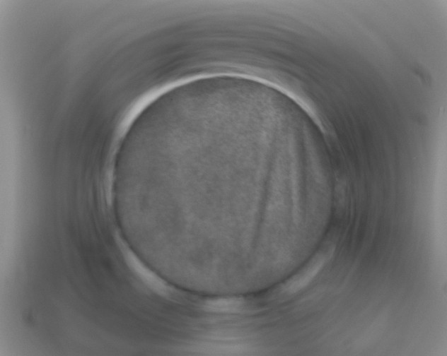 X0000113631535200910162004