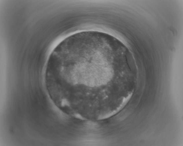 X0000113631536200910162004