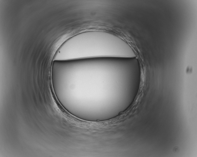 X0000113640003200909181341