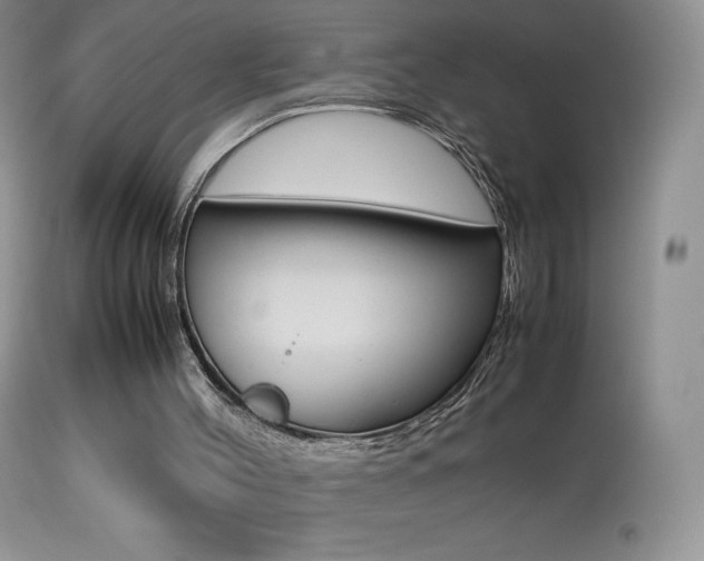 X0000113640004200909181341