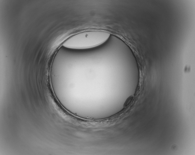 X0000113640005200909181341