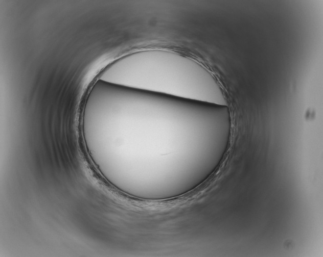 X0000113640006200909181341