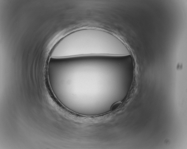 X0000113640007200909181340