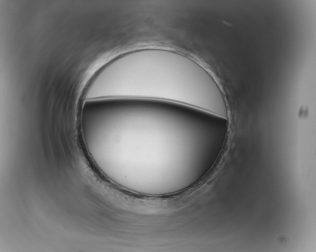X0000113640008200909181340