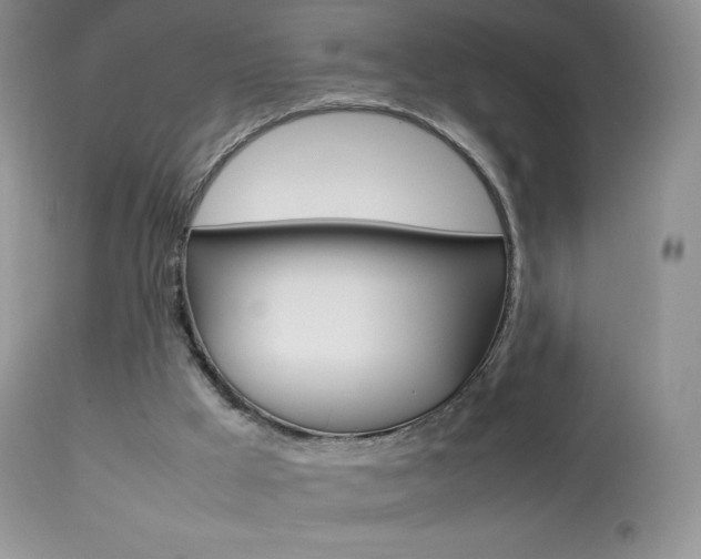 X0000113640009200909181340