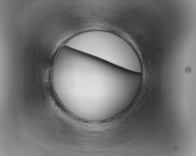 X0000113640010200909181340