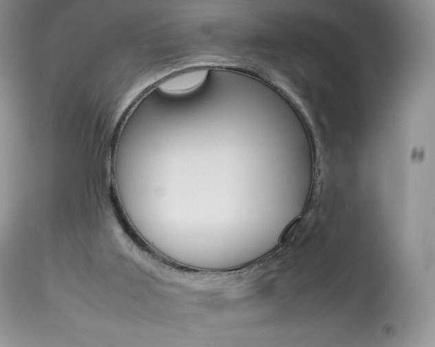 X0000113640011200909181340