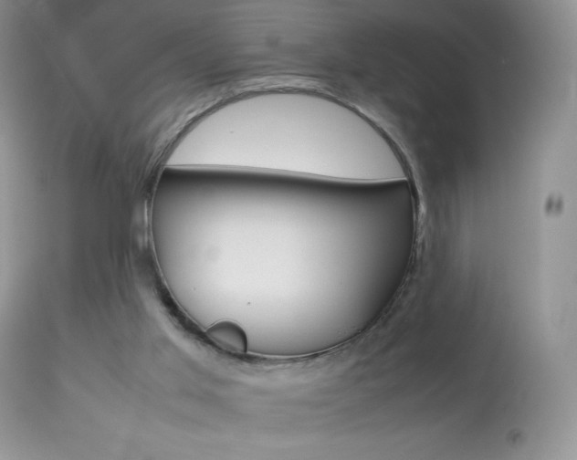 X0000113640013200909181340