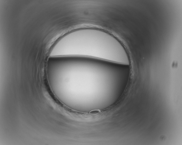 X0000113640015200909181340