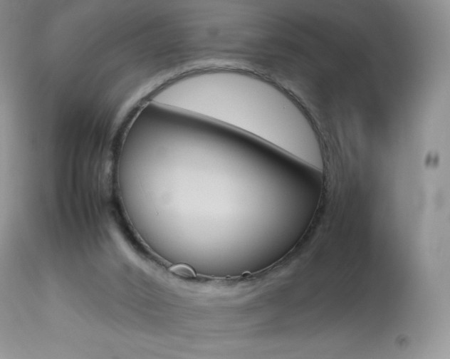 X0000113640016200909181340