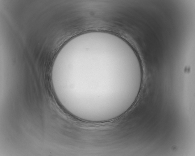 X0000113640017200909181340