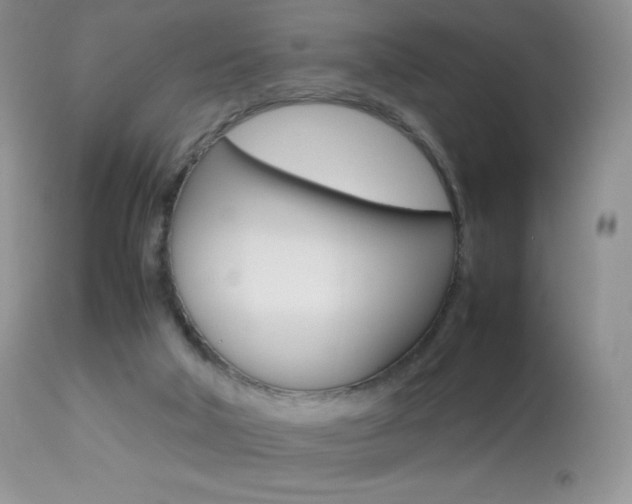 X0000113640018200909181340