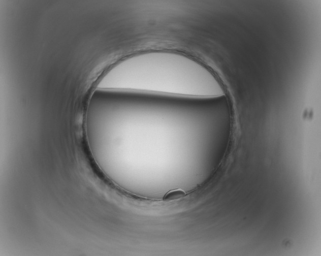 X0000113640019200909181340
