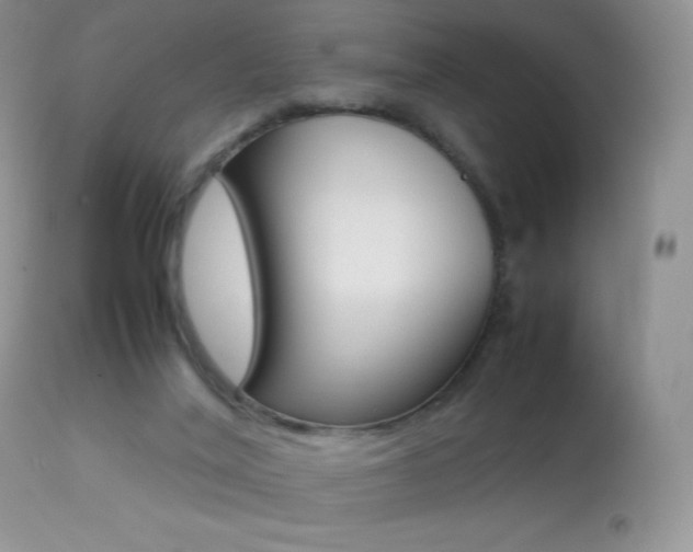 X0000113640020200909181340