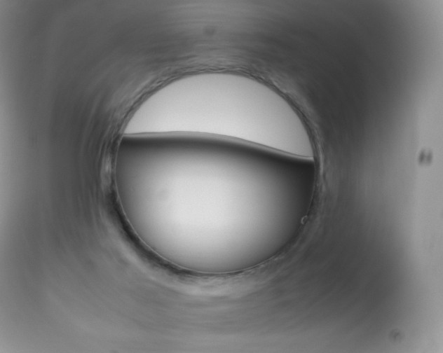 X0000113640021200909181340