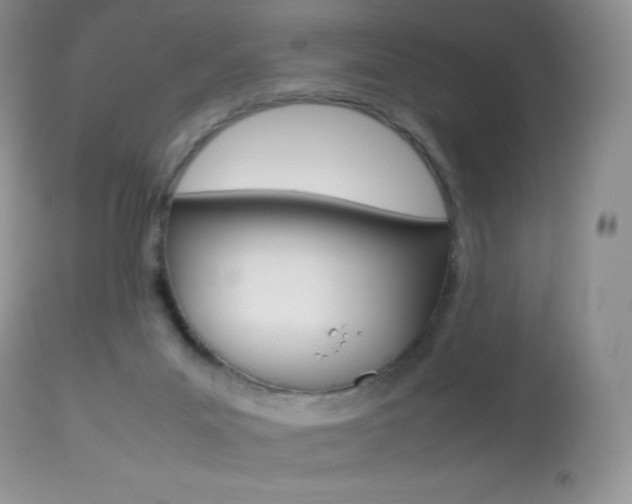 X0000113640023200909181340