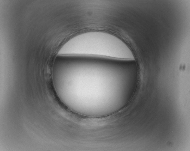 X0000113640025200909181340