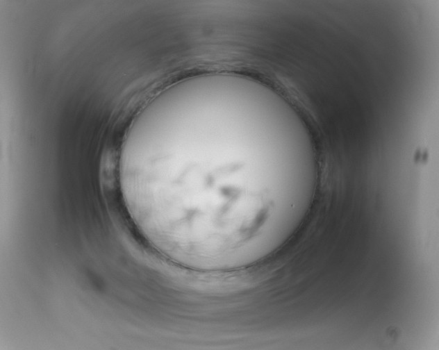 X0000113640026200909181340