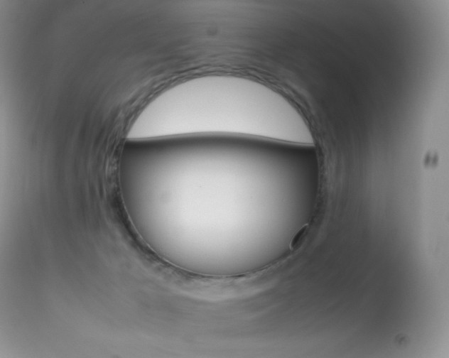 X0000113640029200909181340
