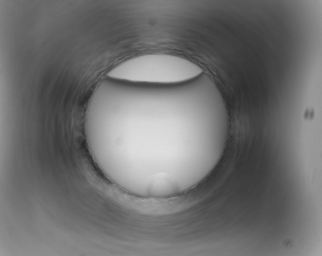X0000113640030200909181340