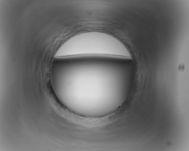 X0000113640031200909181340
