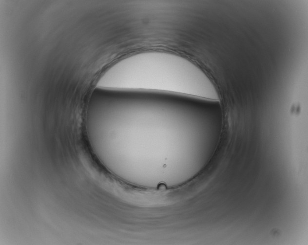 X0000113640032200909181340