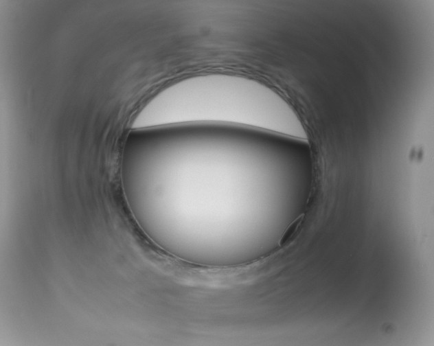 X0000113640033200909181340