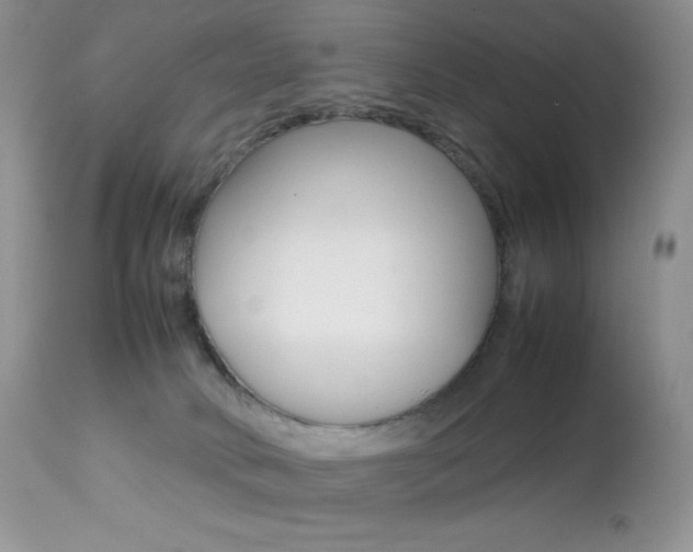 X0000113640034200909181340