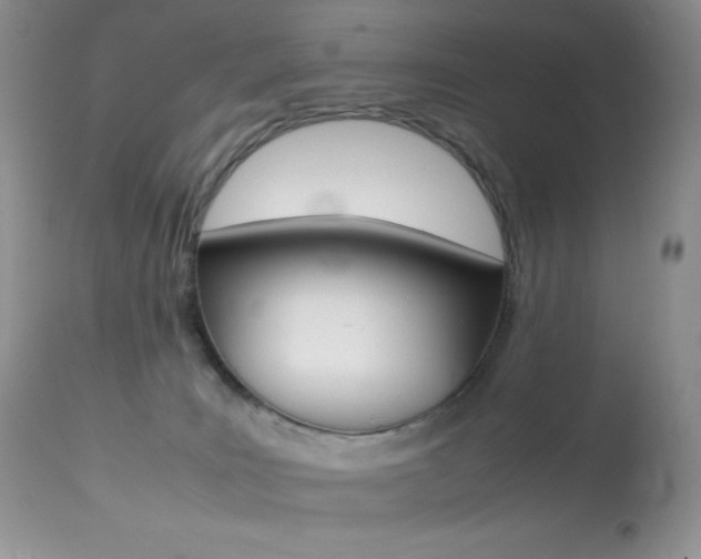 X0000113640035200909181340