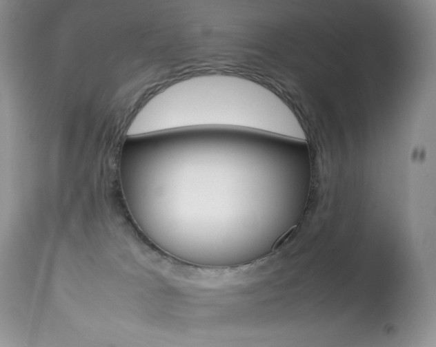 X0000113640037200909181340