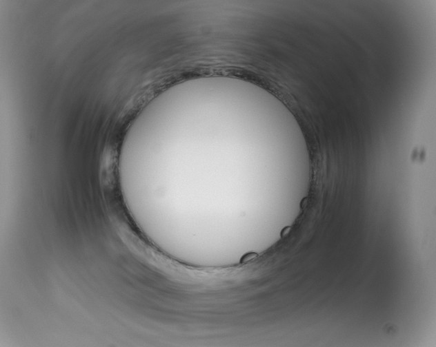 X0000113640038200909181340