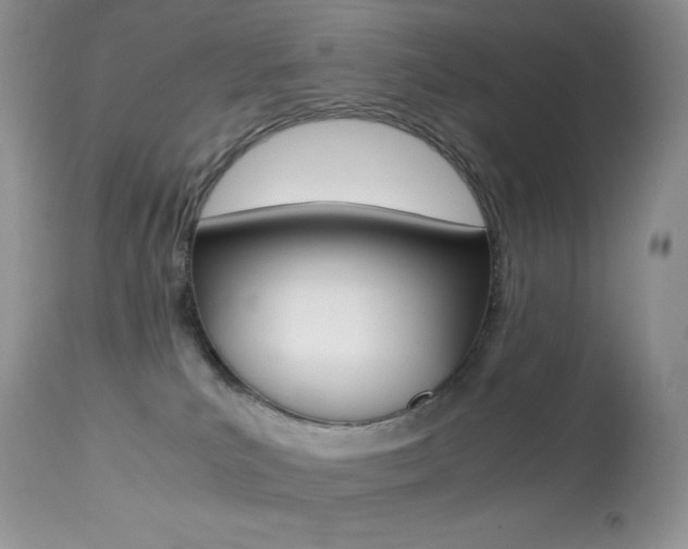 X0000113640039200909181340