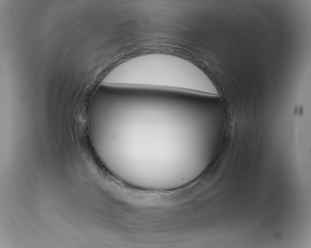 X0000113640040200909181340