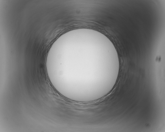 X0000113640041200909181340