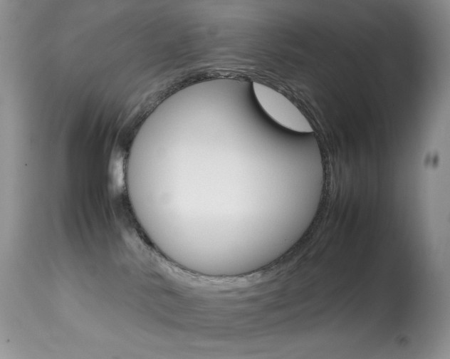 X0000113640042200909181340