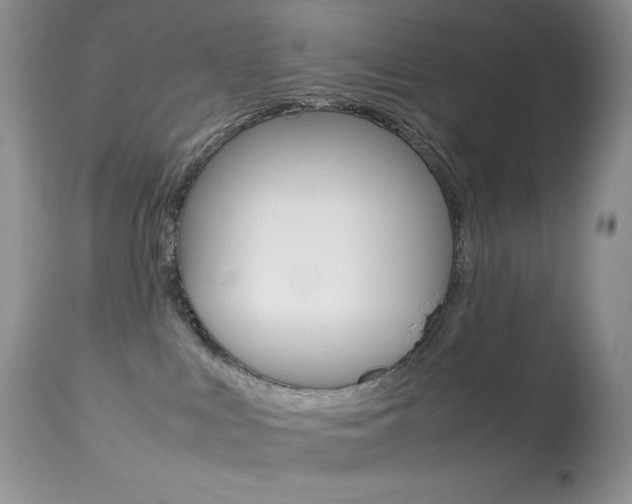 X0000113640043200909181340